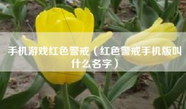 手机游戏红色警戒（红色警戒手机版叫什么名字）
