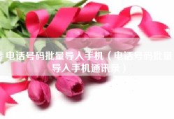 电话号码批量导入手机（电话号码批量导入手机通讯录）