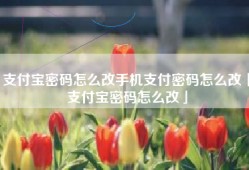 支付宝密码怎么改手机支付密码怎么改「支付宝密码怎么改」