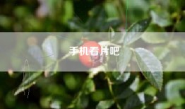 手机看片吧