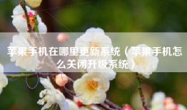 苹果手机在哪里更新系统（苹果手机怎么关闭升级系统）