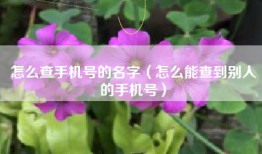 怎么查手机号的名字（怎么能查到别人的手机号）