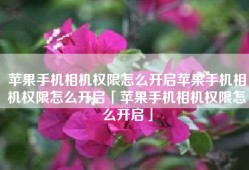 苹果手机相机权限怎么开启苹果手机相机权限怎么开启「苹果手机相机权限怎么开启」