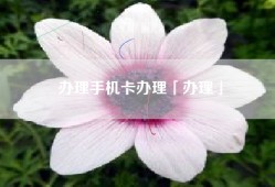 办理手机卡办理「办理」