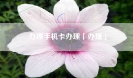 办理手机卡办理「办理」