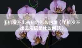 手机发不出去短信怎么回事（手机发不出去短信是什么问题）