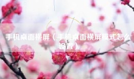 手机桌面横屏（手机桌面横屏模式怎么设置）