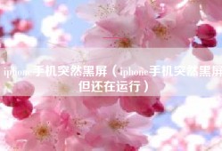 iphone手机突然黑屏（iphone手机突然黑屏但还在运行）