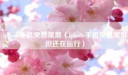 iphone手机突然黑屏（iphone手机突然黑屏但还在运行）