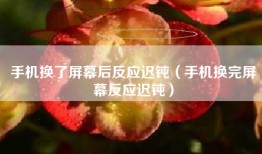 手机换了屏幕后反应迟钝（手机换完屏幕反应迟钝）