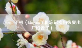 kingsun手机（kingsun手机忘记密码恢复出厂设置了）