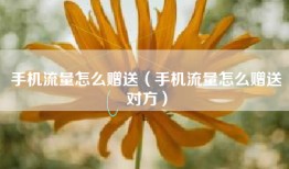 手机流量怎么赠送（手机流量怎么赠送对方）