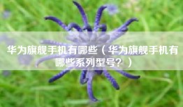 华为旗舰手机有哪些（华为旗舰手机有哪些系列型号？）