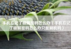 手机忘记了锁屏密码怎么办（手机忘记了锁屏密码怎么办只能刷机吗）