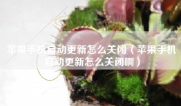 苹果手机自动更新怎么关闭（苹果手机自动更新怎么关闭啊）