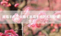 黑莓手机怎么用（黑莓手机怎么用存储卡）