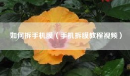 如何拆手机膜（手机拆膜教程视频）