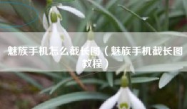 魅族手机怎么截长图（魅族手机截长图教程）