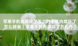 苹果手机内屏坏了怎么办手机内屏坏了怎么修复「苹果手机内屏坏了怎么办」