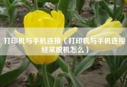 打印机与手机连接（打印机与手机连接经常脱机怎么）