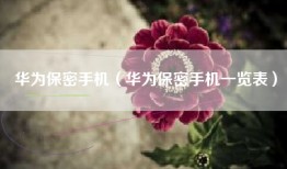 华为保密手机（华为保密手机一览表）