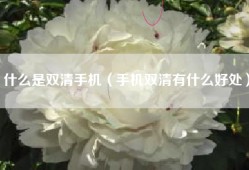 什么是双清手机（手机双清有什么好处）