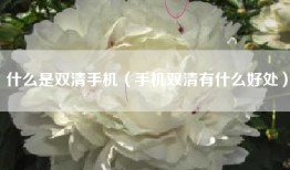 什么是双清手机（手机双清有什么好处）