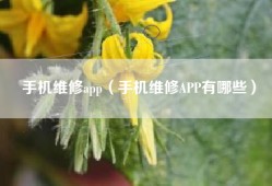 手机维修app（手机维修APP有哪些）