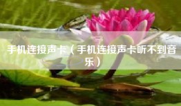 手机连接声卡（手机连接声卡听不到音乐）