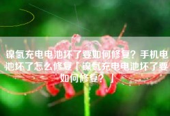 镍氢充电电池坏了要如何修复？手机电池坏了怎么修复「镍氢充电电池坏了要如何修复？」