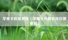 苹果手机啥系统（苹果手机啥系统在哪里看）