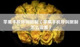 苹果手机呼叫限制（苹果手机呼叫限制怎么设置）