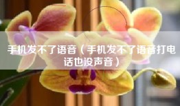 手机发不了语音（手机发不了语音打电话也没声音）