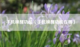 手机唤醒功能（手机唤醒功能在哪）