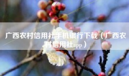 广西农村信用社手机银行下载（广西农村信用社app）