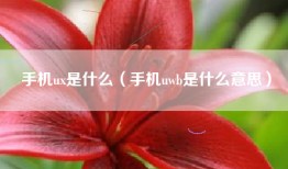 手机ux是什么（手机uwb是什么意思）