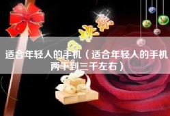 适合年轻人的手机（适合年轻人的手机两千到三千左右）