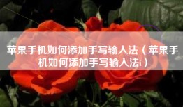 苹果手机如何添加手写输入法（苹果手机如何添加手写输入法i）