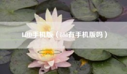 LDD手机版（ldd有手机版吗）