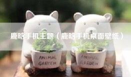 鹿晗手机主题（鹿晗手机桌面壁纸）