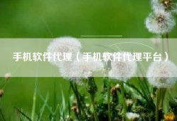 手机软件代理（手机软件代理平台）