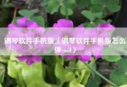钢琴软件手机版（钢琴软件手机版怎么弹void）