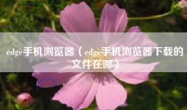 edge手机浏览器（edge手机浏览器下载的文件在哪）