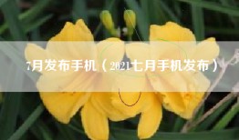 7月发布手机（2021七月手机发布）