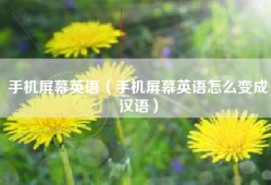 手机屏幕英语（手机屏幕英语怎么变成汉语）