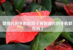 做图片的手机软件（有做图片的手机软件吗）
