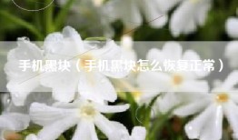 手机黑块（手机黑块怎么恢复正常）