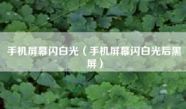 手机屏幕闪白光（手机屏幕闪白光后黑屏）