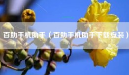 百助手机助手（百助手机助手下载安装）