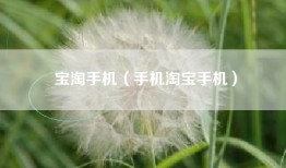 宝淘手机（手机淘宝手机）